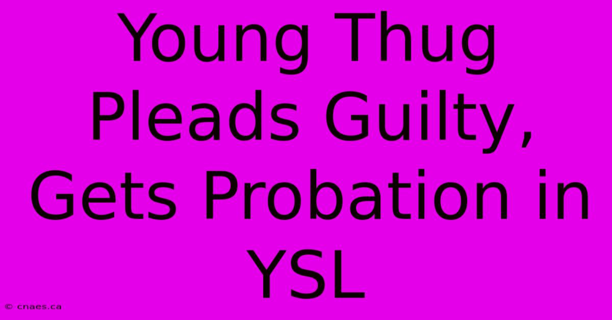 Young Thug Pleads Guilty, Gets Probation In YSL