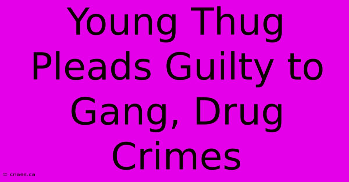 Young Thug Pleads Guilty To Gang, Drug Crimes 