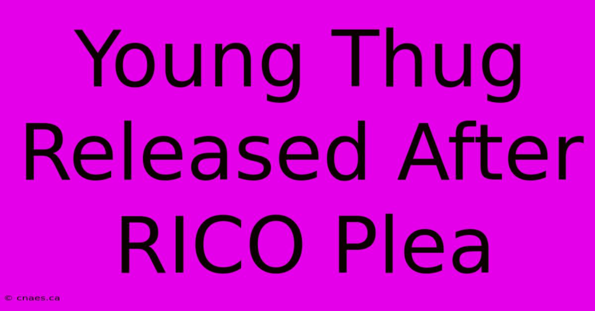 Young Thug Released After RICO Plea