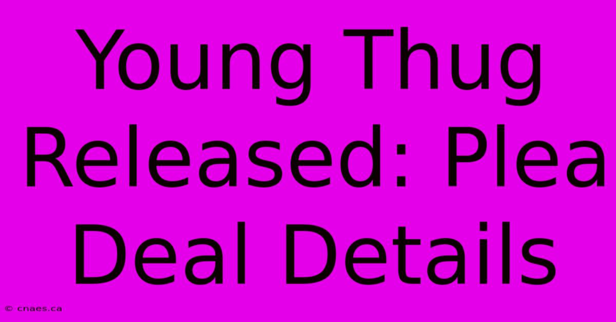 Young Thug Released: Plea Deal Details 