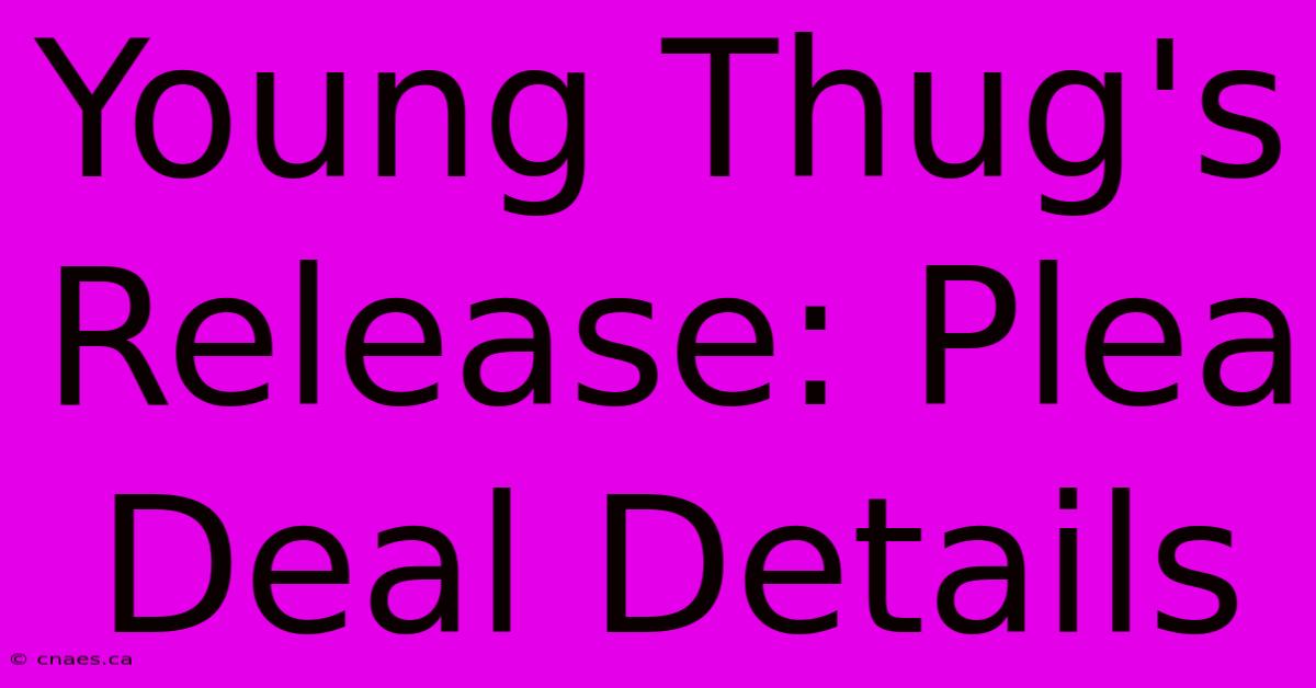 Young Thug's Release: Plea Deal Details