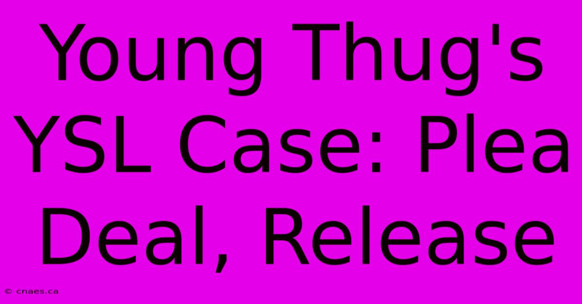 Young Thug's YSL Case: Plea Deal, Release