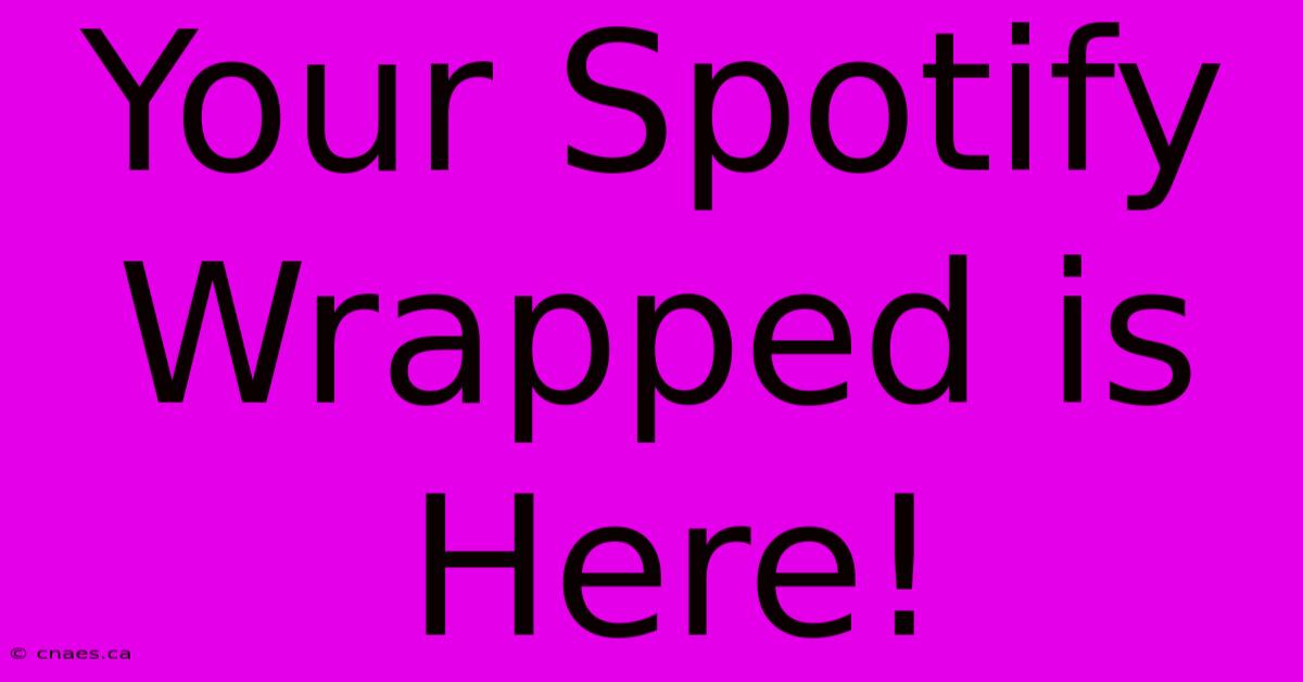 Your Spotify Wrapped Is Here!