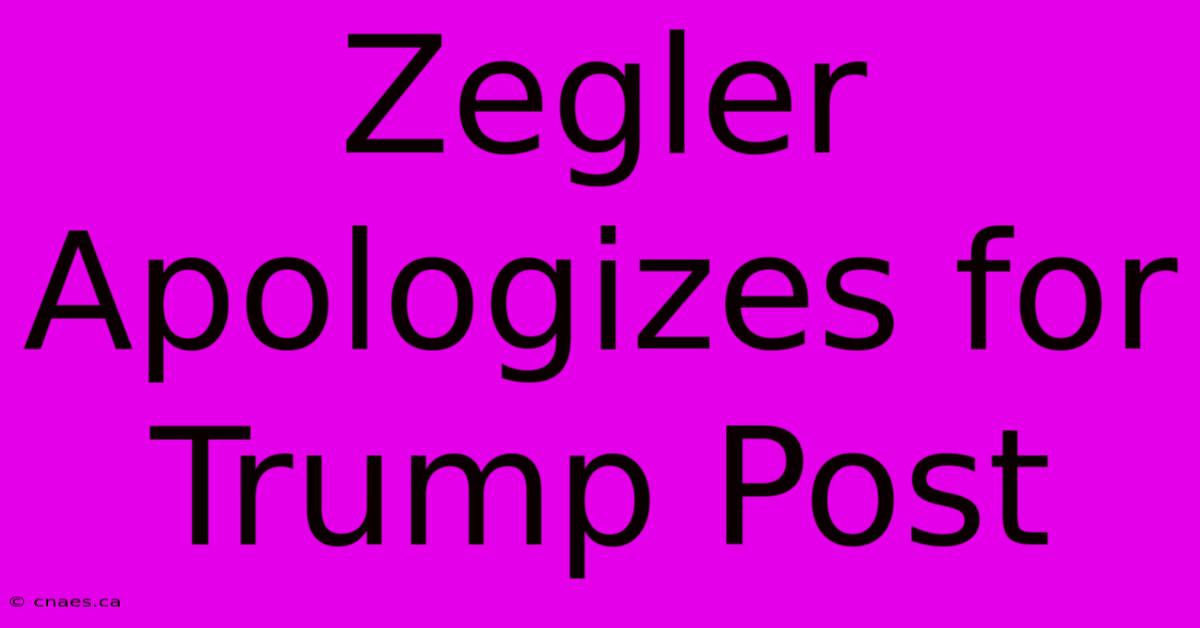 Zegler Apologizes For Trump Post