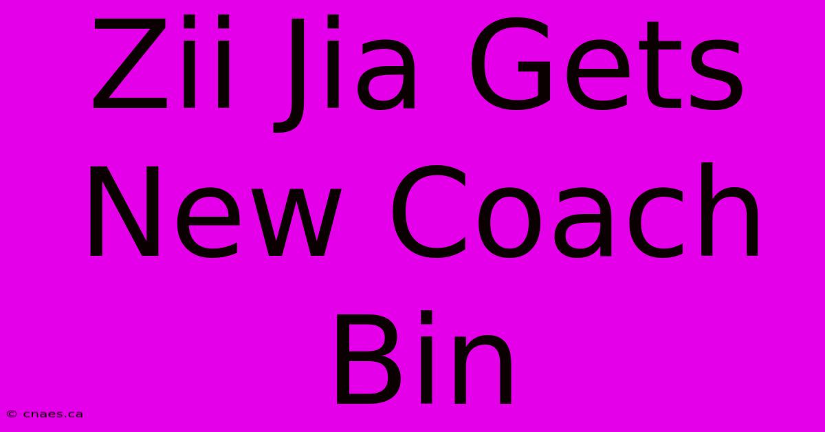 Zii Jia Gets New Coach Bin