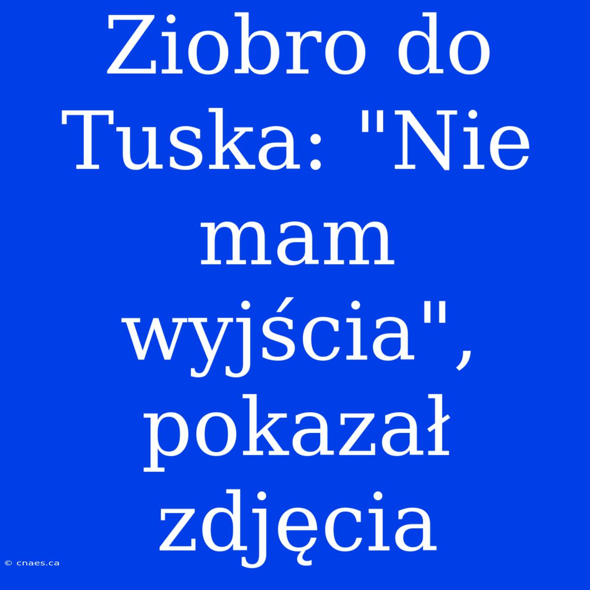 Ziobro Do Tuska: 