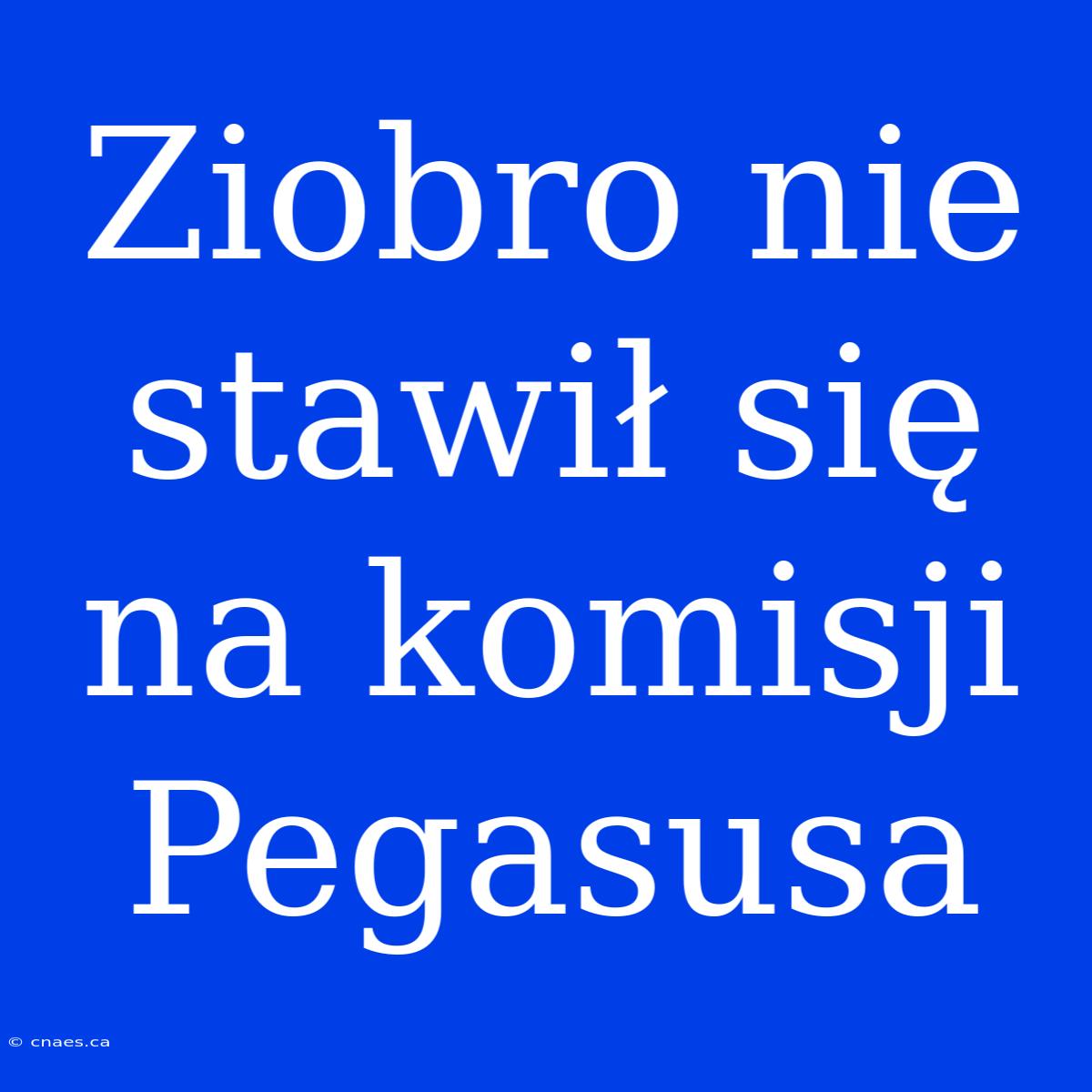 Ziobro Nie Stawił Się Na Komisji Pegasusa