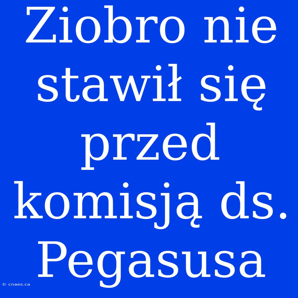 Ziobro Nie Stawił Się Przed Komisją Ds. Pegasusa