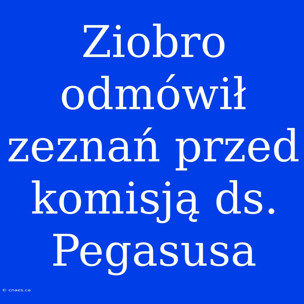 Ziobro Odmówił Zeznań Przed Komisją Ds. Pegasusa