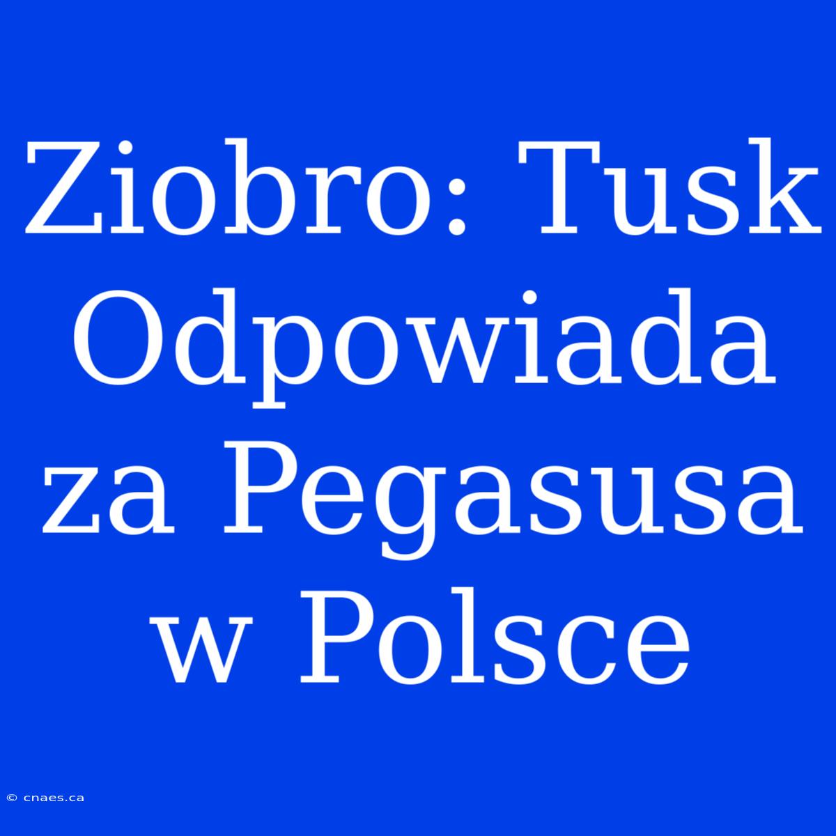 Ziobro: Tusk Odpowiada Za Pegasusa W Polsce